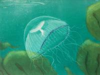 Crystal Jellyfish  by Louise Scammell